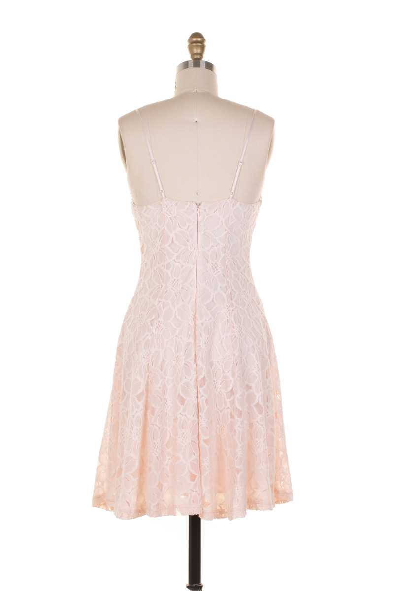 Everly Floral Lace Fit and Flare Dress Pink - Talis Collection