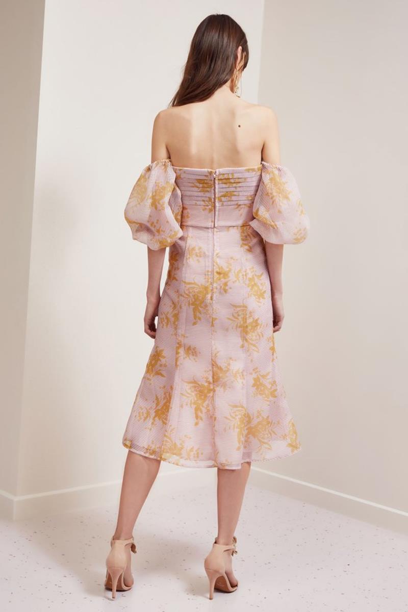 Keepsake Stand Tall Midi Dress Blush Stencil Floral