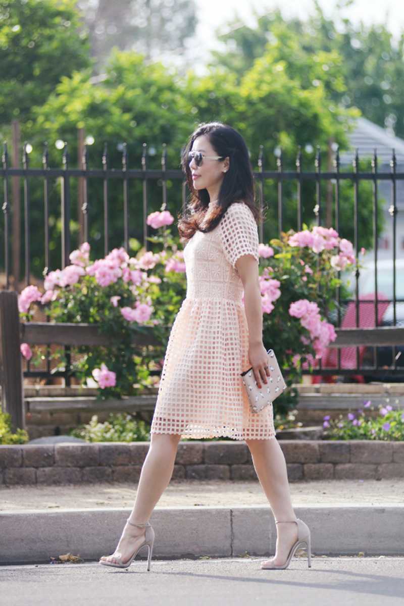 Elliatt Frame Grid Cutout Fit and Flare Dress - Talis Collection Elliatt Frame Grid Cutout Fit and Flare Dress - Talis Collection