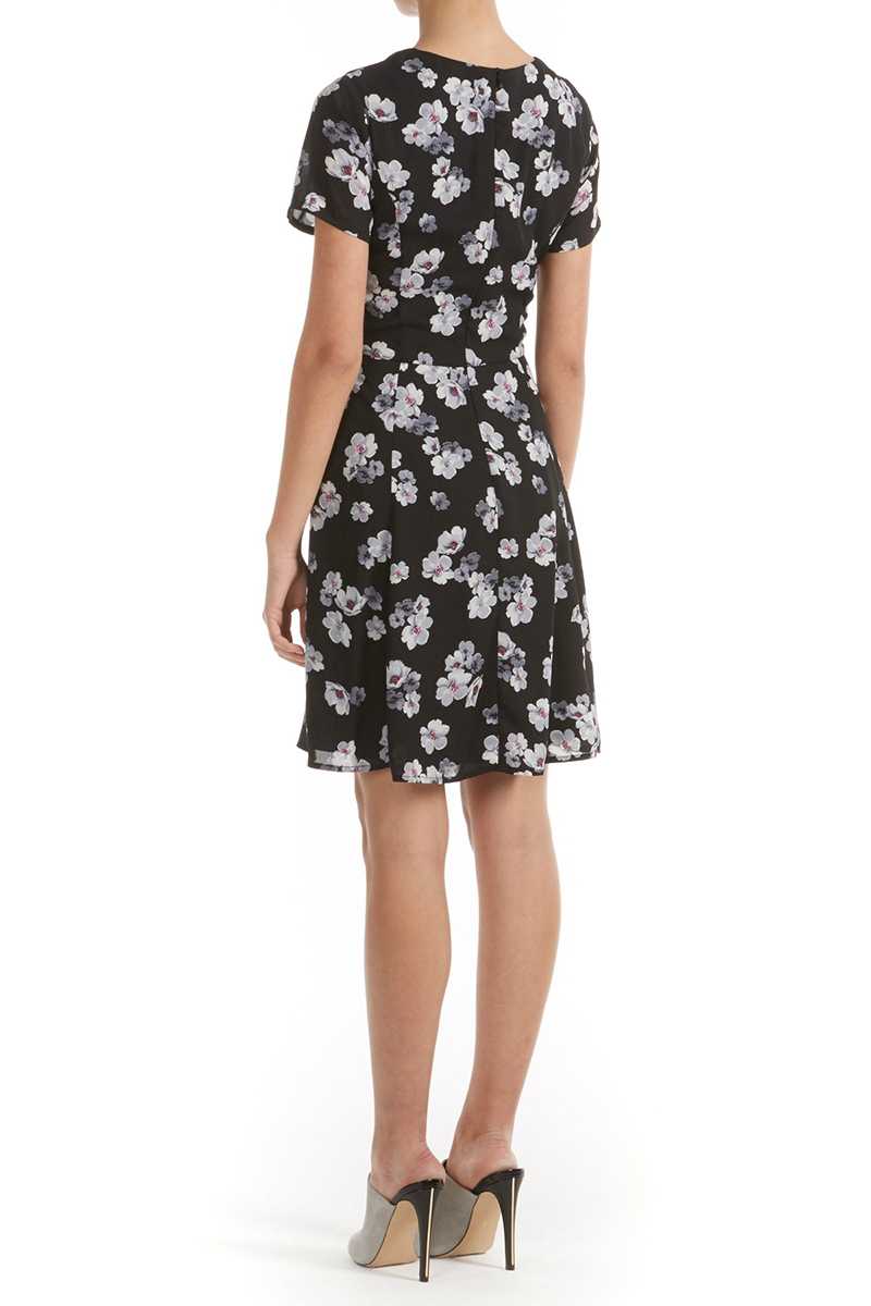 Poppy Lux Taura Floral Fit and Flare Dress